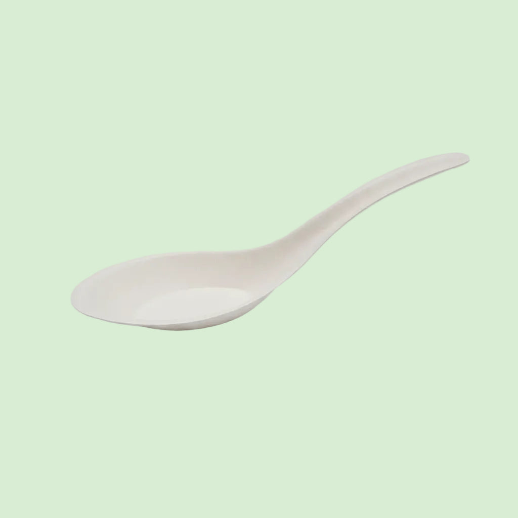 White ceramic spoon on a white background